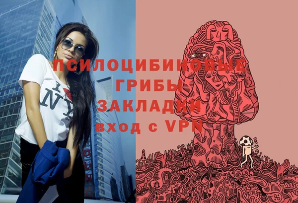 сатива Алексеевка