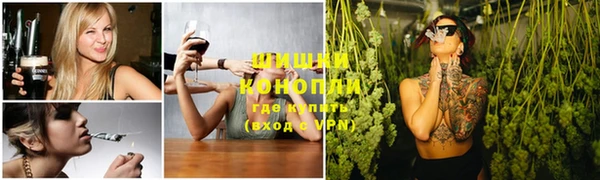 сатива Алексеевка