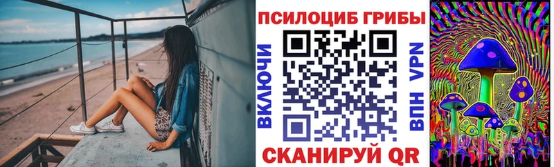 Псилоцибиновые грибы MAGIC MUSHROOMS  KRAKEN зеркало  Еманжелинск  закладки 